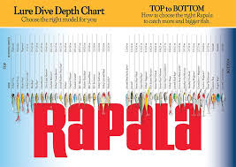 Rapala Depth Chart Depth Chart Tackle Shop Fishing Tackle