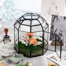 Ncyp Dome Geometric Glass Terrarium