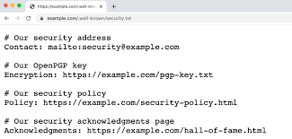 security txt file