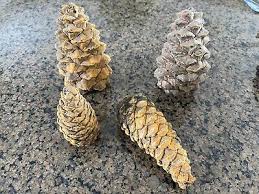 Ceramic Pine Cones For Gas Fireplaces