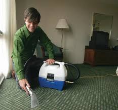 karcher carpet cleaner and detailer