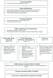 Randomised Controlled Trial And Pilot Study Procedure Flow