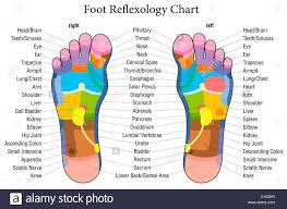 Foot Reflexology Chart With Accurate Description Of The