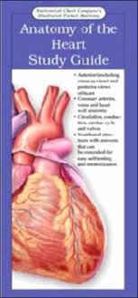 Anatomical Chart Companys Illustrated Pocket Anatomy Anatomy Of The Heart Study Guide Edition 1 Hardcover