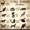 For that, there are certain animals associated with these signs, like a phoenix is considered to be the animal guide of the zodiac gemini. 3