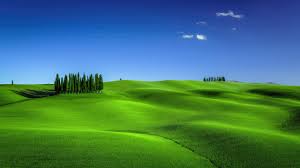 green meadows in tuscany landscape