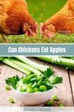 can-ducks-and-chickens-eat-celery