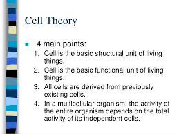 cell theory and bonding powerpoint