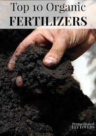 top 10 organic fertilizers gardening