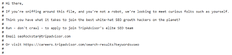 robots txt directives fun for humans
