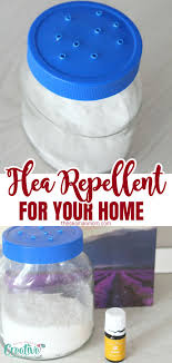 natural flea repellent for home easy