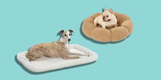 10 best dog beds in 2024 top rated