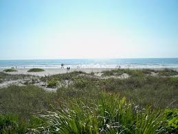 Lori Wilson Park - Cocoa Beach - Bewertungen und Fotos - TripAdvisor - view-of-beach-area-from