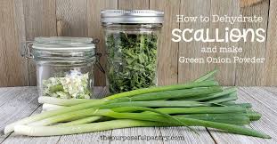 Dehydrate Scallions Or Green Onions