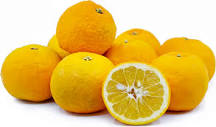 where-do-you-find-seville-oranges