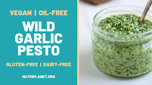 wild garlic pesto oil free vegan pesto
