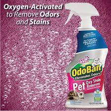 odoban pet oxy stain remover 32oz spray