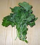 Is broccoli rabe poisonous?