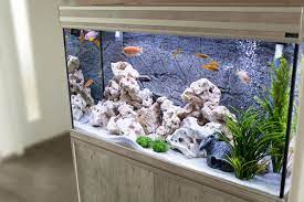 how to make aquarium decor that is fish
