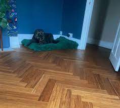 bamboo flooring for pets the bamboo