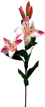 Maybe you would like to learn more about one of these? Amazon Com Rima Mini Tiger Lilies Many Colors Bouquet Silk Wedding Flowers Lily Pink Home Kitchen