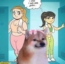 Meme generator, instant notifications, image/video download, achievements and many more! I Wish I Had Her Body Doge Meme Starecat Com