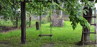 The last feature is that the branch should be large enough in order that a swing is often slot in it by leaving enough gap between the swing and trunk. How To Hang A Swing Between Two Trees Best Playground Sets