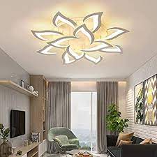 Okes Modern Ceiling Light Dimmable