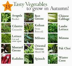 Sow For Your Fall Vegetable Garden