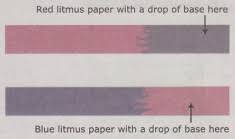 Indicators Acids And Bases