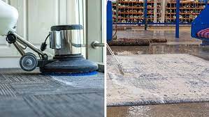 rug cleaning services in south venice