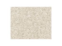 shaw carpet anso colorwall find your