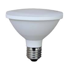 Par30 Led Bulbs Ip65 Outdoor Globes