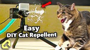 how to make a cat repellent for under
