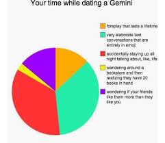 Most Accurate Pie Chart Ive Ever Seen Zodiac Twins