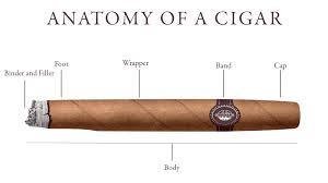 نتیجه جستجوی لغت [cigars] در گوگل