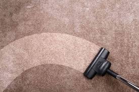 enviro steem carpet upholstery care