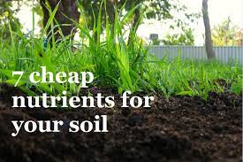 Add Nutrients To Your Soil