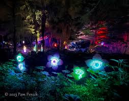 Zilker Garden Lights Up With Neon