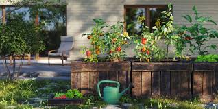 Raised Garden Beds What You Need To