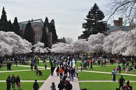 In total, approximately 315,000 students currently study at these institutions with the majority of bachelor's. List Of Colleges And Universities In Washington Wikipedia