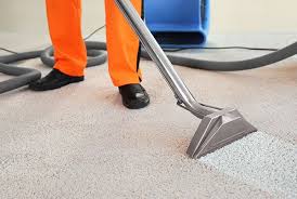 carpet cleaning experts lightning