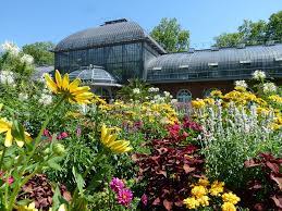 The fbbg gift shop is also now open! Palmengarten Botanical Garden Frankfurt