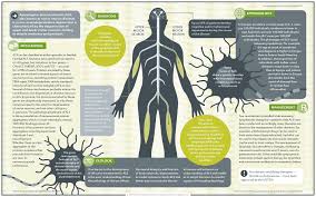 amyotrophic lateral sclerosis nature