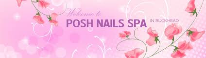 posh nails spa professional nail