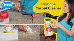 carbona carpet cleaner you