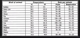 Which Animal Has The Highest Average Body Temperature Quora