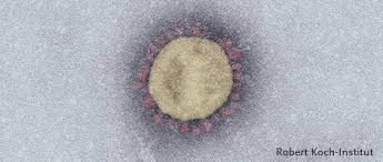 A new chinese coronavirus, a cousin of the sars virus, has infected hundreds since the outbreak began in wuhan, china, in december. Rki Infektionskrankheiten A Z Covid 19 Coronavirus Sars Cov 2