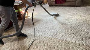 residential carpet care services