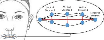 horizontal and vertical lip distances
